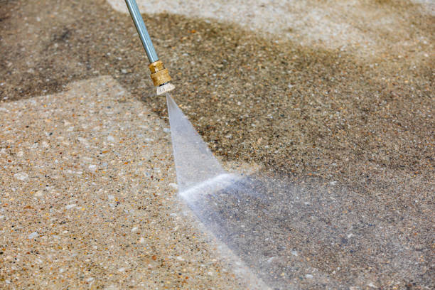 Best House Exterior Washing  in Morrice, MI
